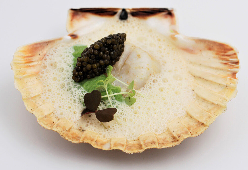 Discover Cuisine